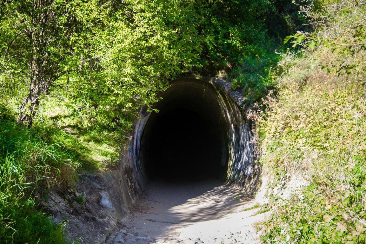 Domki Pozytywki Władysławowo Exterior foto